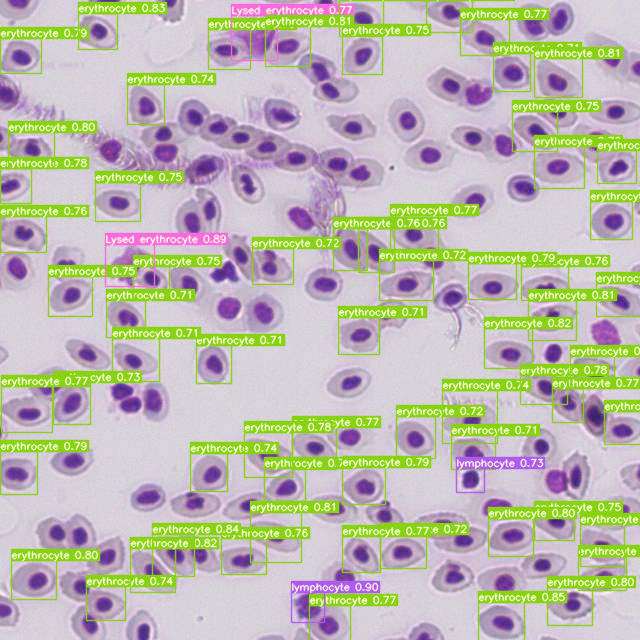 Extraordinary Results