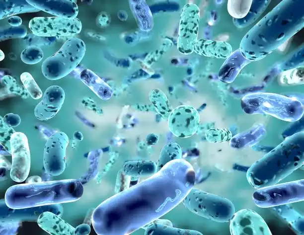 Estudio del Microbioma
