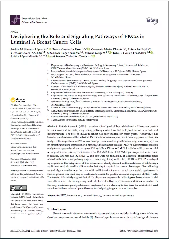 Deciphering the Role and Signaling Pathways of PKCα in Luminal A Breast Cancer Cells