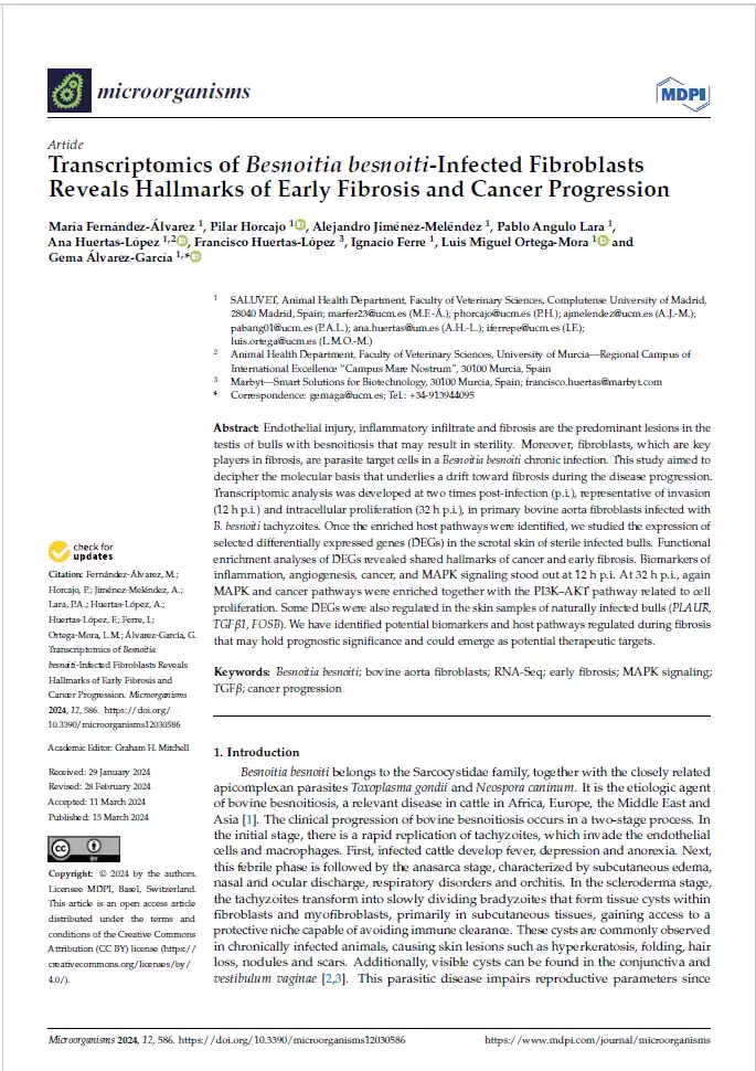 Transcriptomics of Besnoitia besnoiti-Infected Fibroblasts Reveals Hallmarks of Early Fibrosis and Cancer Progression