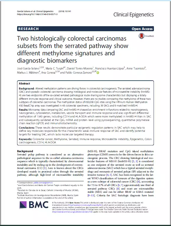 Two histologically colorectal carcinomas subsets from the serrated pathway show different methylome signatures and diagnostic biomarkers