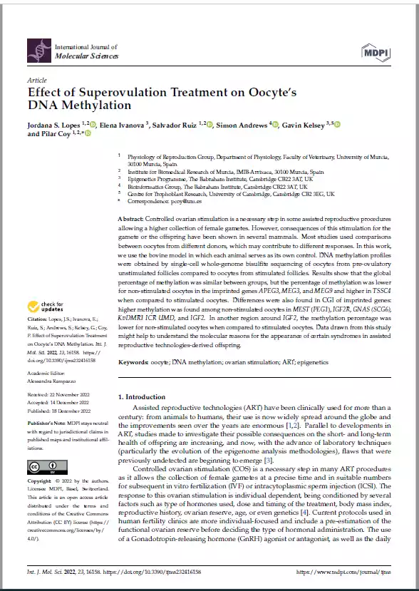 Effect of Superovulation Treatment on Oocyte’s
DNA Methylation
